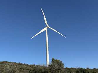 Wycieczka fakultatywna, Pafos by night