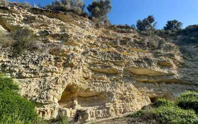 Wycieczka fakultatywna, Wycieczka na plażę Skała Afrodyty z karmieniem osiołków z Pafos