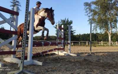 Wycieczka fakultatywna, MAXI HORSE (samodzielny kłus i galop)